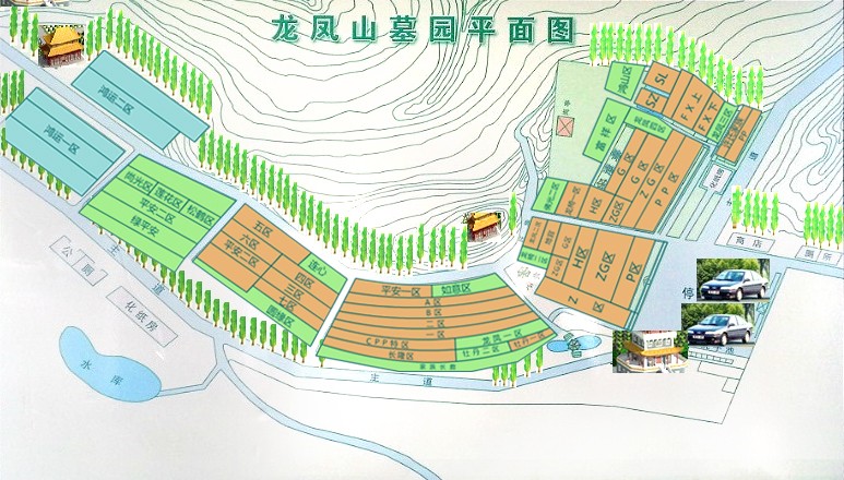 平面图