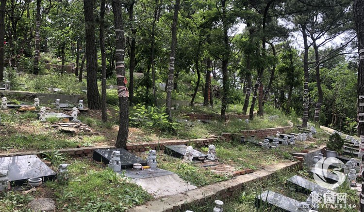 大连公墓 花园式墓园 藏风聚气 山环水抱!大连中山纪念园公墓-大连陵园网